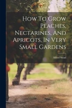 How To Grow Peaches, Nectarines, And Apricots, In Very Small Gardens - Stead, Alfred