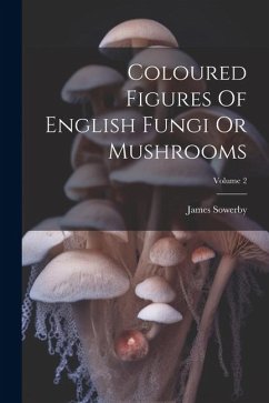 Coloured Figures Of English Fungi Or Mushrooms; Volume 2 - Sowerby, James
