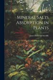 Mineral Salts Absorption in Plants