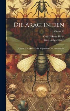 Die Arachniden: Getreu Nach Der Natur Abgebildet Und Beschrieben; Volume 13 - Hahn, Carl Wilhelm