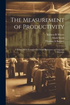 The Measurement of Productivity: A Primer With Examples for Small Businesses or Corporate Divisions - Barocci, Thomas A.; Soeth, Mark; Wever, Kirsten R.