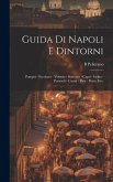 Guida di Napoli e dintorni: Pompei - Ercolano - Vesuvio - Sorrento - Capri - Ischia - Pozzuoli - Cuma - Baia - Pesto, ecc.