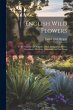 English Wild Flowers: To be Found by... - Bild 1
