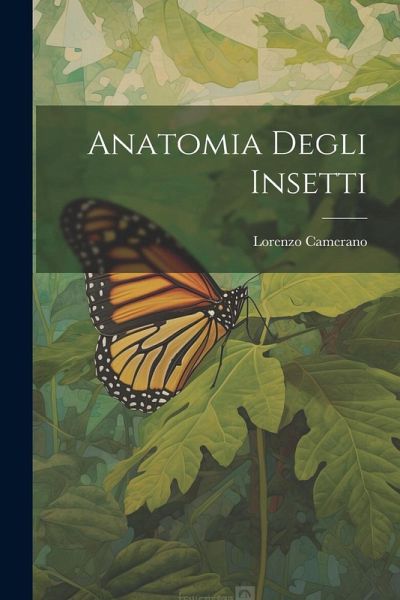 Anatomia Degli Insetti