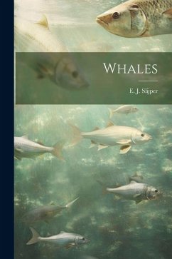 Whales - Slijper, E. J.
