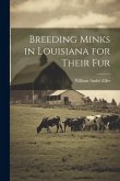 Breeding Minks in Louisiana for Their fur