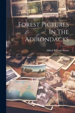 Forest Pictures In The Adirondacks - Street, Alfred Billings