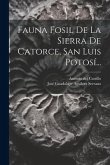 Fauna Fosil De La Sierra De Catorce, San Luis Potosí...