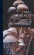Fungi Moricolae: Iconografia E... - Bild 1