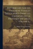 Recherches Sur Les Ossemens Fossiles Découverts Dans Les Cavernes De La Province De Liège, Volume 1...