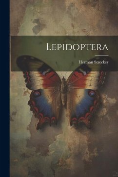 Lepidoptera - Strecker, Herman