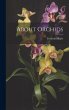About Orchids - Bild 1