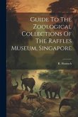 Guide To The Zoological Collections Of The Raffles Museum, Singapore