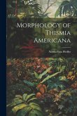 Morphology of Thismia Americana