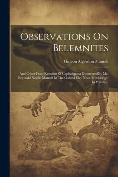 Observations On Belemnites: And Other Fossil Remains Of Cephalopoda Discovered By Mr. Reginald Neville Mantell In The Oxford Clay Near Trowbridge, - Mantell, Gideon Algernon