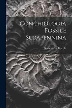 Conchiologia Fossile Subapennina - Brocchi, Giambattista