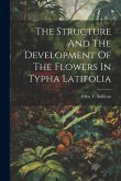 The Structure And The Development Of The Flowers In Typha Latifolia