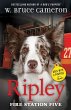 Ripley: Fire Station Five (eBook, ePUB) - Bild 1