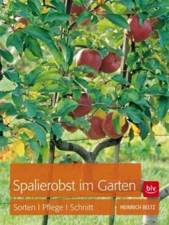 Spalierobst im Garten (Mängelexemplar) - Beltz, Heinrich