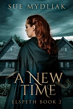 A New Time (eBook, ePUB) - Mydliak, Sue