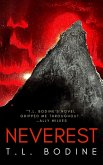 Neverest (eBook, ePUB)