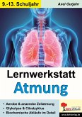 Lernwerkstatt Atmung / Band 2 (Klasse 9-13) (eBook, PDF)