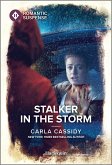 Stalker in the Storm (eBook, ePUB)