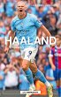Haaland (eBook, ePUB) - Bild 1