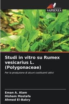 Studi in vitro su Rumex vesicarius L. (Polygonaceae) - Alam, Eman A.;Mostafa, Hisham;El-Bakry, Ahmed