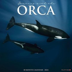 Orca (Journey with The) 2024 12 X 12 Wall Calendar - Willow Creek Press