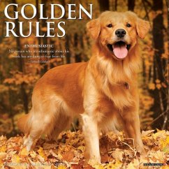 Golden Rules 2024 12 X 12 Wall Calendar - Willow Creek Press