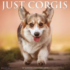 Just Corgis 2024 12 X 12 Wall Calendar - Willow Creek Press