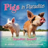 Pigs in Paradise