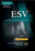 ESV Pitt Minion Reference Edition Brown Calf Split Leather Es444: X