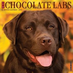 Just Chocolate Labs 2024 12 X 12 Wall Calendar - Willow Creek Press