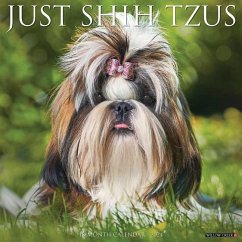 Just Shih Tzus 2024 12 X 12 Wall Calendar - Willow Creek Press