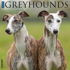 Just Greyhounds 2024 12 X 12 Wall Calendar - Willow Creek Press