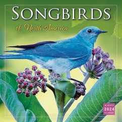 Songbirds of North America