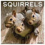 Squirrels 2024 12 X 12 Wall Calendar