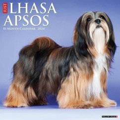 Just Lhasa Apsos 2024 12 X 12 Wall Calendar - Willow Creek Press