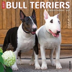 Just Bull Terriers 2024 12 X 12 Wall Calendar - Willow Creek Press