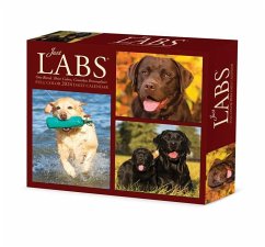 Labs 2024 6.2 X 5.4 Box Calendar - Willow Creek Press