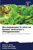 Issledowaniq in vitro na Rumex vesicarius L. (Polygonaceae)