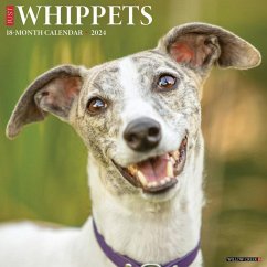 Just Whippets 2024 12 X 12 Wall Calendar - Willow Creek Press