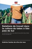 Relations de travail dans la culture du tabac à São João do Sul
