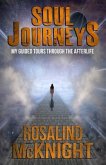 Soul Journeys: My Guided Tours Through the Afterlife