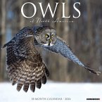 Owls 2024 12 X 12 Wall Calendar