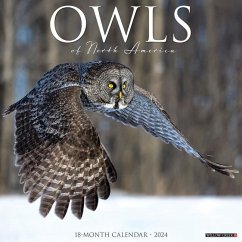 Owls 2024 12 X 12 Wall Calendar - Willow Creek Press