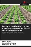 Lettuce production in two growing seasons fertilised with sheep manure