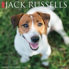 Just Jack Russells 2024 12 X 12 Wall Calendar - Willow Creek Press